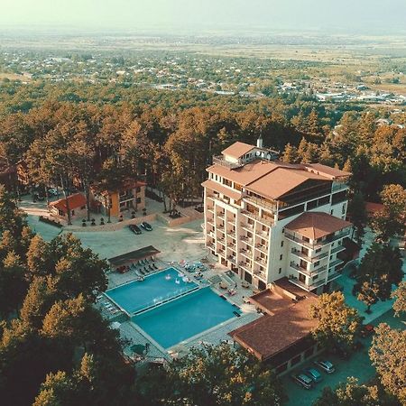 Zuzumbo Resort & Spa Telavi Eksteriør billede