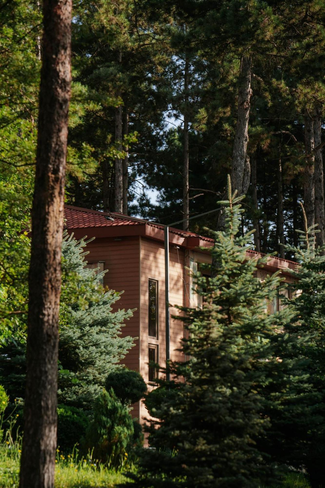Zuzumbo Resort & Spa Telavi Eksteriør billede